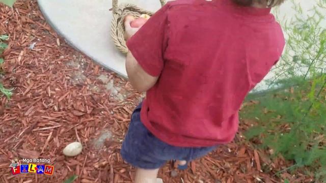 Ano Ang Itsura ng Puno ng Mansanas? | #Fil-AmKids Pick Some Apples смотреть онлайн