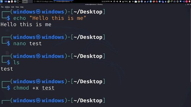 13 Linux Command Line Tutorial for beginners in Nepali(echo command) смотреть онлайн