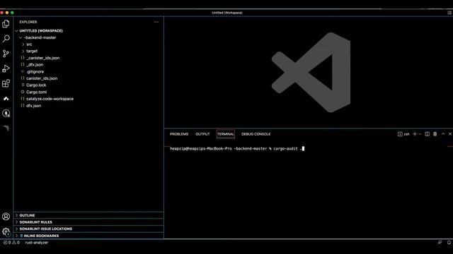 How to audit Rust code in 4 minutes! смотреть онлайн