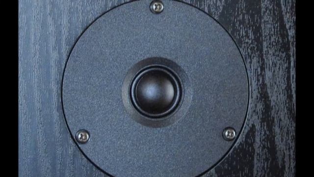 Dayton Audio DS135-8 SEAS 19TFF1 2WAY DIY Speaker смотреть онлайн