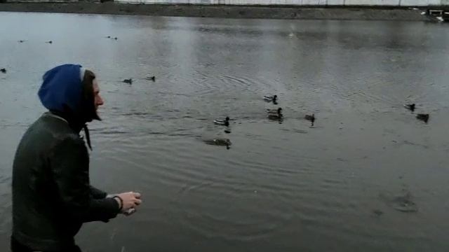 Александров в ковид