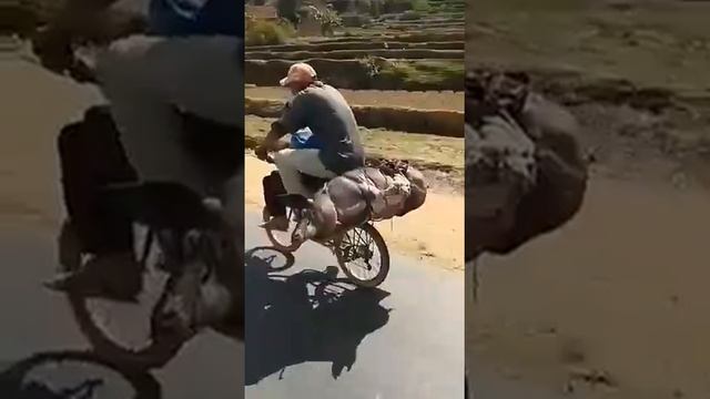 Перевозка скота. смотреть онлайн