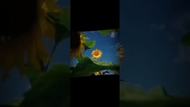 Подсолнух против нефора #shorts смотреть онлайн
