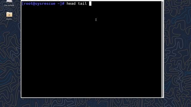 Les commandes Linux : cat [ -n ] ,head [ -n ] ,tail [ -n ] ,echo смотреть онлайн