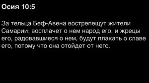 День 243. Библия за год. С митрополитом Иларионом.