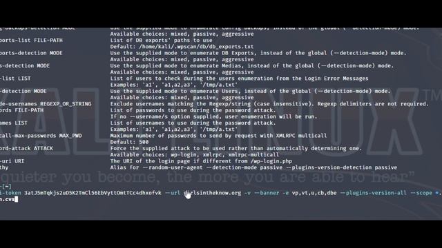 WPScan Demonstration смотреть онлайн
