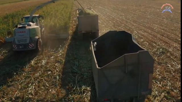 99 Modern Agricultural Machinery Is On Another Level Silaž 2023 Claas Jaguar 980🌽John Deere 8R 34