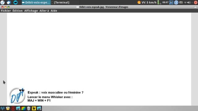 Aciah-Linux, voix Espeak masculin ou féminin ? смотреть онлайн