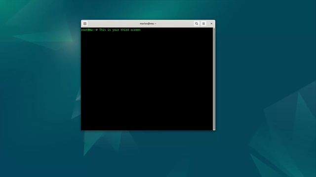 screen command Linux смотреть онлайн