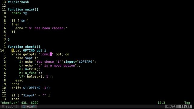 bash script free learning video for beginner part 1 смотреть онлайн