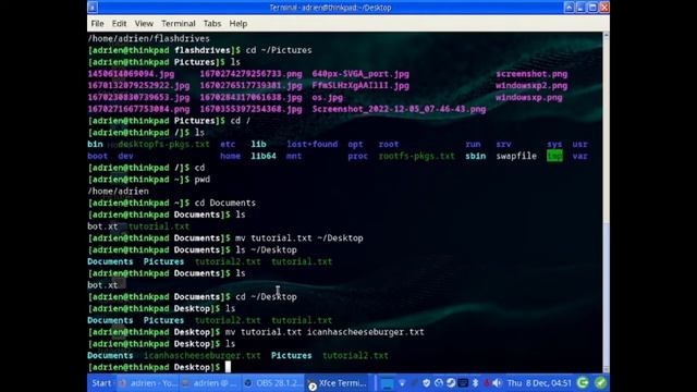 some basic linux commands in Manjaro Linux смотреть онлайн