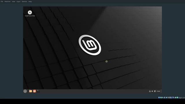 Інструкція по встановленню дистрибутиву GNU/Linux Linux Mint на комп'ютер смотреть онлайн