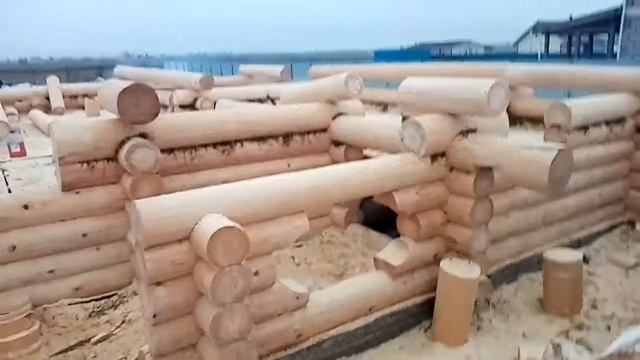 Строительство домов в Русскую чашу на мох под топор и тесло очень качественно заказываем