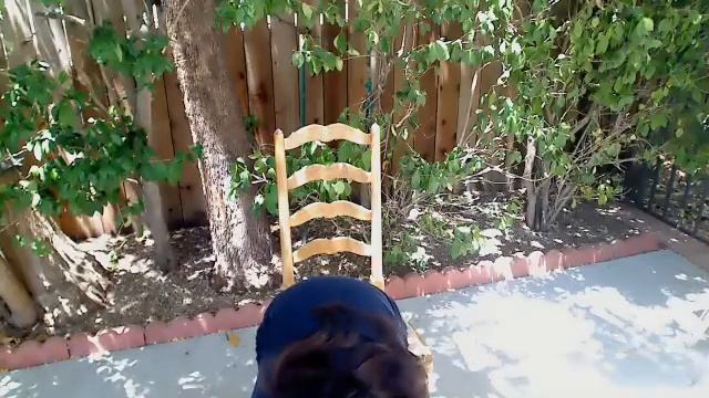 30min Chair Yoga for Reducing Stress смотреть онлайн