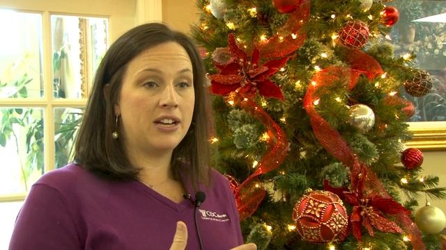 CBC Shop with a Cop Gift смотреть онлайн