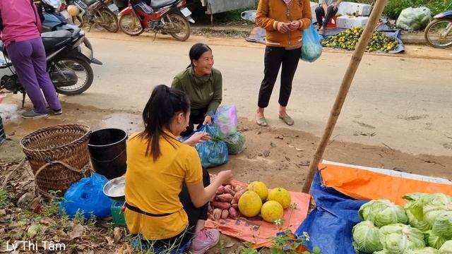FULL VIDEO: 95 Day Harvesting Ginger & Sugarcane, Dong Leaves Goes to the market sell | Ly Thi Tam смотреть онлайн