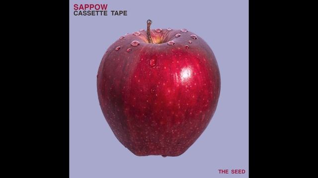 Sappow - Cassette Tape (Miz Remix)