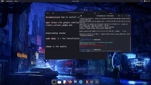 (documentation) how to install chrome in kali linux смотреть онлайн