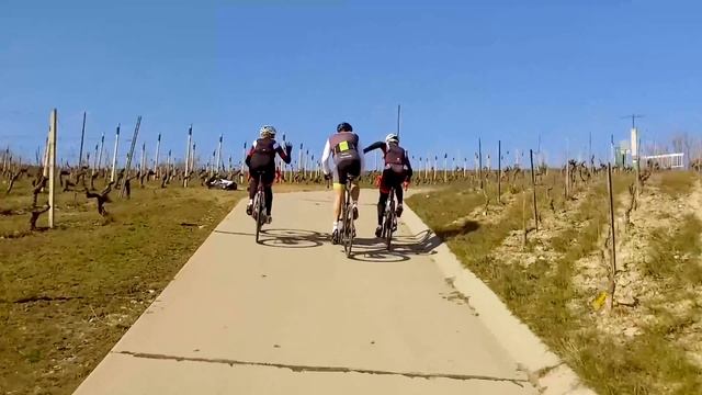 Wilier Cento 1Hybrid смотреть онлайн