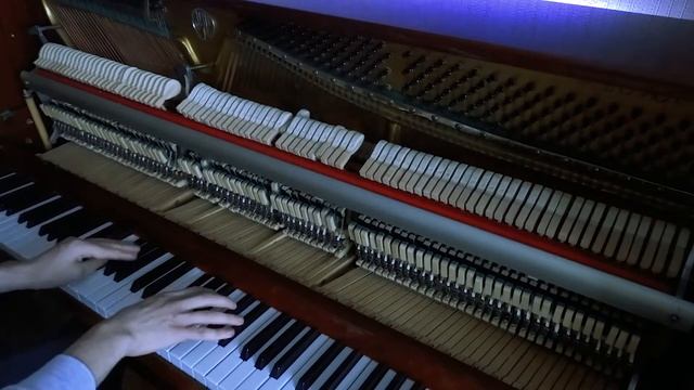 Denis Stelmakh - The Nowhere (Live Perfomance) смотреть онлайн