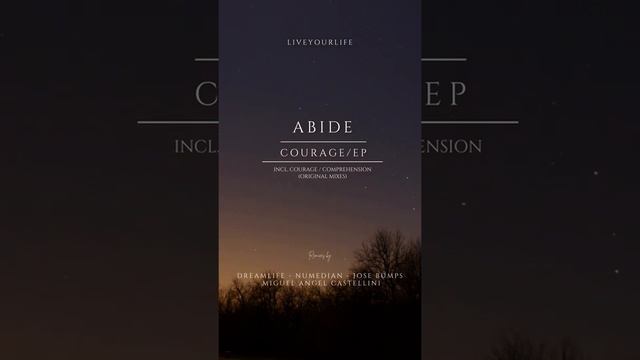 Abide - Courage [Liveyourlife] смотреть онлайн