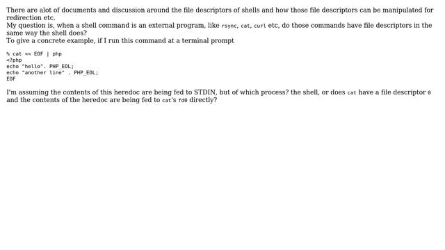 When a shell executes an external command/program - does that program have file descriptors? смотреть онлайн