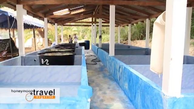 Tape 11 LinK 03 Edit Final