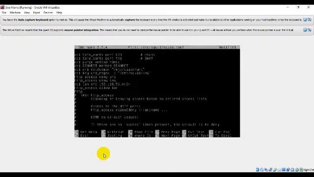 Proxy Server Debian смотреть онлайн