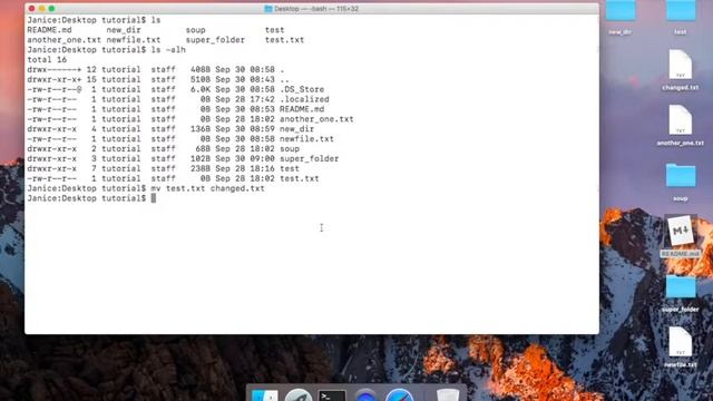 Terminal #2 - Files смотреть онлайн