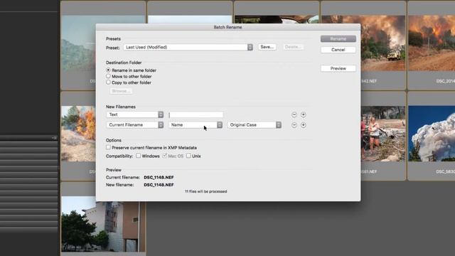 Renaming images with Adobe Bridge смотреть онлайн