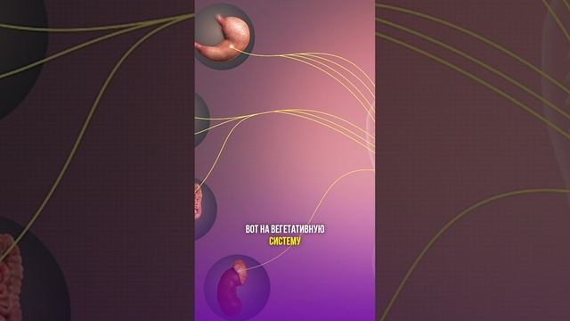 Как избавиться от тревожности без таблеток? #shorts #бубновский #кинезитерапия #здоровье смотреть онлайн