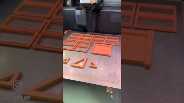 bird house смотреть онлайн