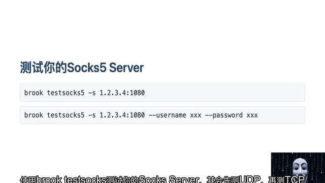 测试你的 Socks 5 是否支持 UDP смотреть онлайн