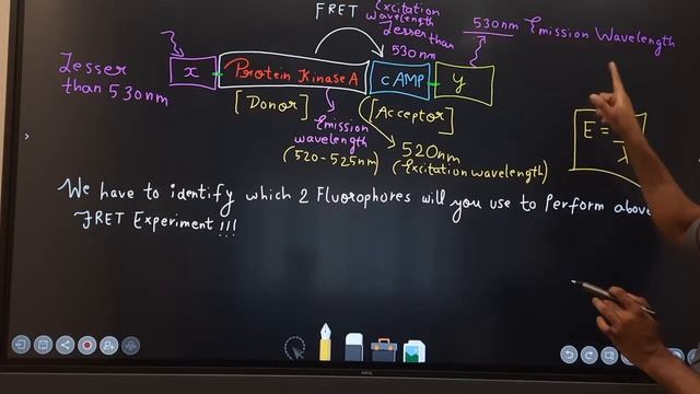 Fluorescence resonance energy transfer | FRET PYQ | CSIR NET Part C question | By Shantanu Kolhe смотреть онлайн