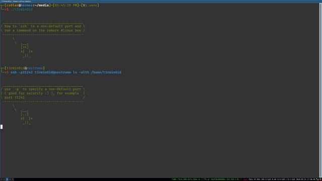 use #ssh to list a remote directory using a non-default port in #linux. смотреть онлайн