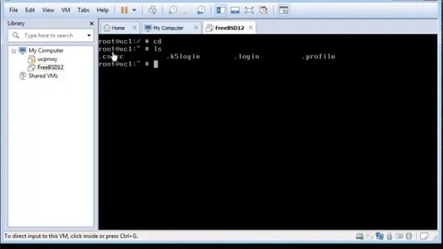 FreeBSD 12.2 - 3. Asbedded n' FreeBSD(Kabyle) смотреть онлайн