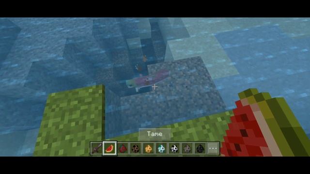 CARA TAME SEMUA MOBS YANG ADA DI MINECRAFT PE! смотреть онлайн