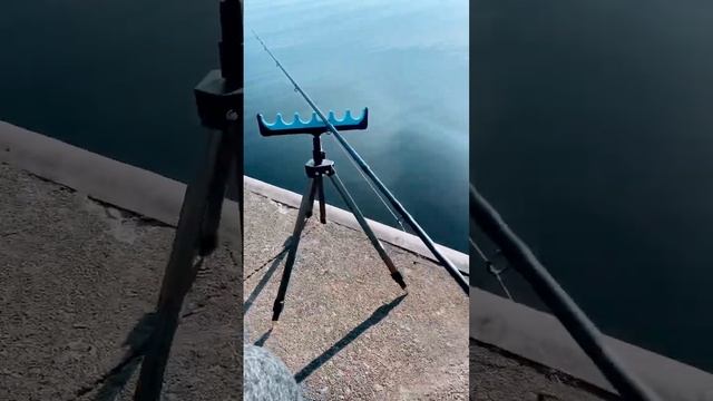 Рыбалка#Фидер#лодкипвх