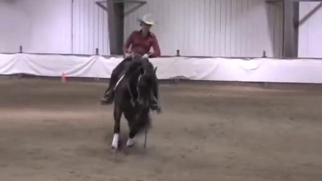 2008 Reining Alberta Spring Classic - BSF Shortypoo / Nicole Brown смотреть онлайн