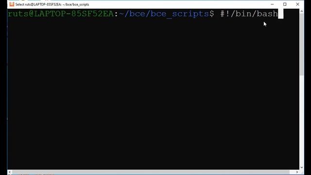 Lecture 4 File Permissions and Basics of Shell Scripts смотреть онлайн