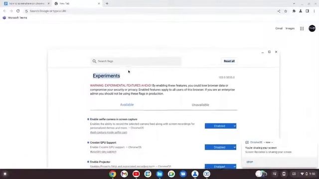 Chrome OS screen share feature смотреть онлайн