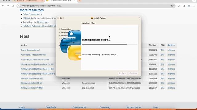 Install Python 3 Completely on Mac смотреть онлайн