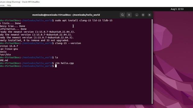 C++ Dev Env Setup - 2 - clang Hello World application from linux terminal смотреть онлайн
