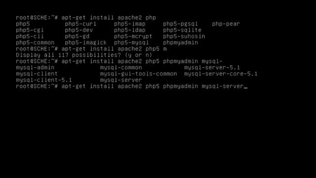Debian 6 Squeeze BIND9 DNS dan LAMPP Web server смотреть онлайн