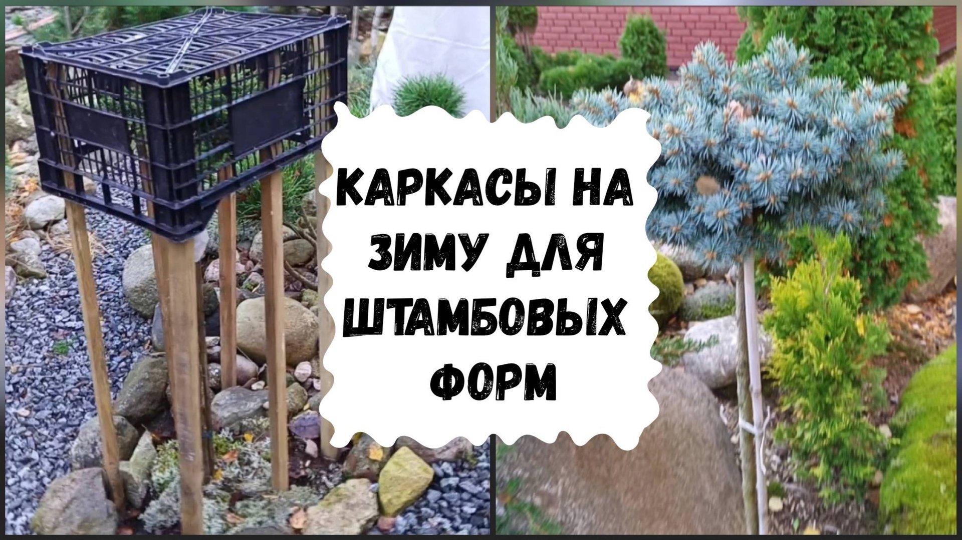 Каркасы на зиму для штамбовых форм. смотреть онлайн