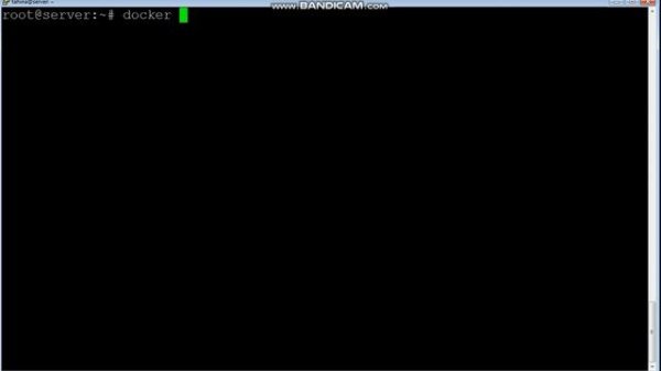 Install docker on Debian 12 and deploy nginx