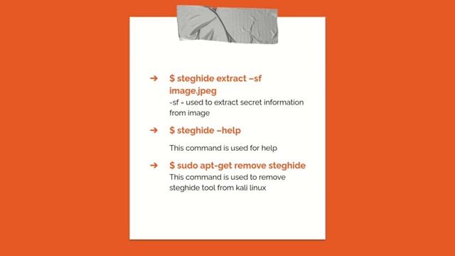 Steganography: Hiding Secret Messages with Steghide in Hindi/Urdu смотреть онлайн