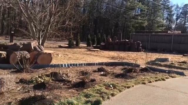 😊💐❄️мой сад в январе❄️💐😊2020👍 смотреть онлайн