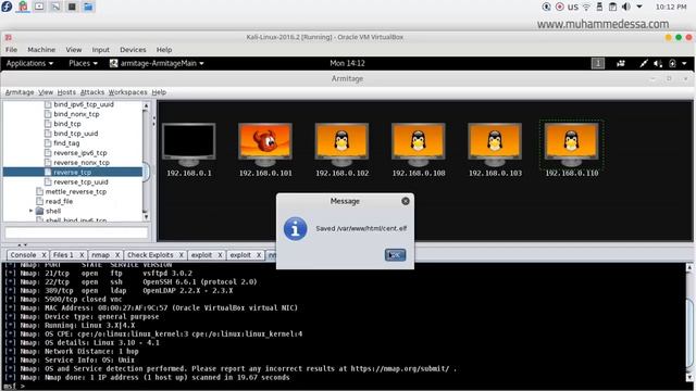 20 Armitage Exploit Attack Linux CentOS смотреть онлайн