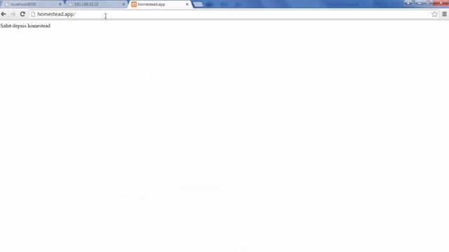 Laravel 5.1 (Windows) - 038 - Homestead 2.0 fonctionnement + Fichier Host + SSH machine virtuelle смотреть онлайн